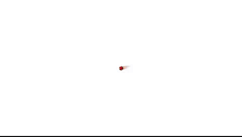 Animación para el Festival de Monegros de 8.6 Beer